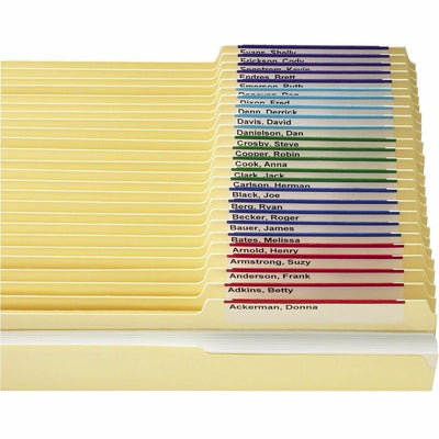 Smead Viewables Premium 3D hanging Folder Tabs and Labels, 1.25" Width x 3.50" Length, 1 Box, SMD64905