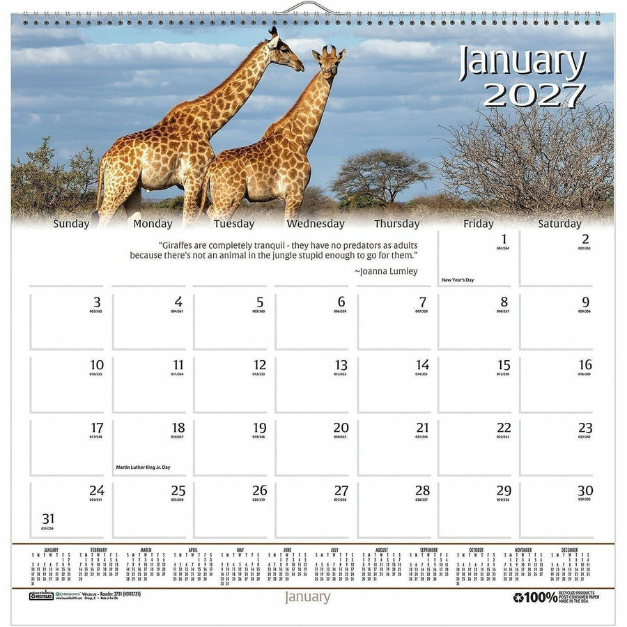 House of Doolittle Earthscapes Wildlife Wall Calendars, 12", 1PD/EA 12EA/PK 48PK/CT — view 1