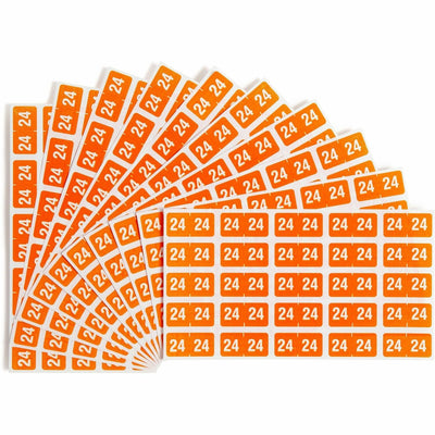 Smead ETS Color-Coded Year Labels, Orange, 1 Pack, SMD67924