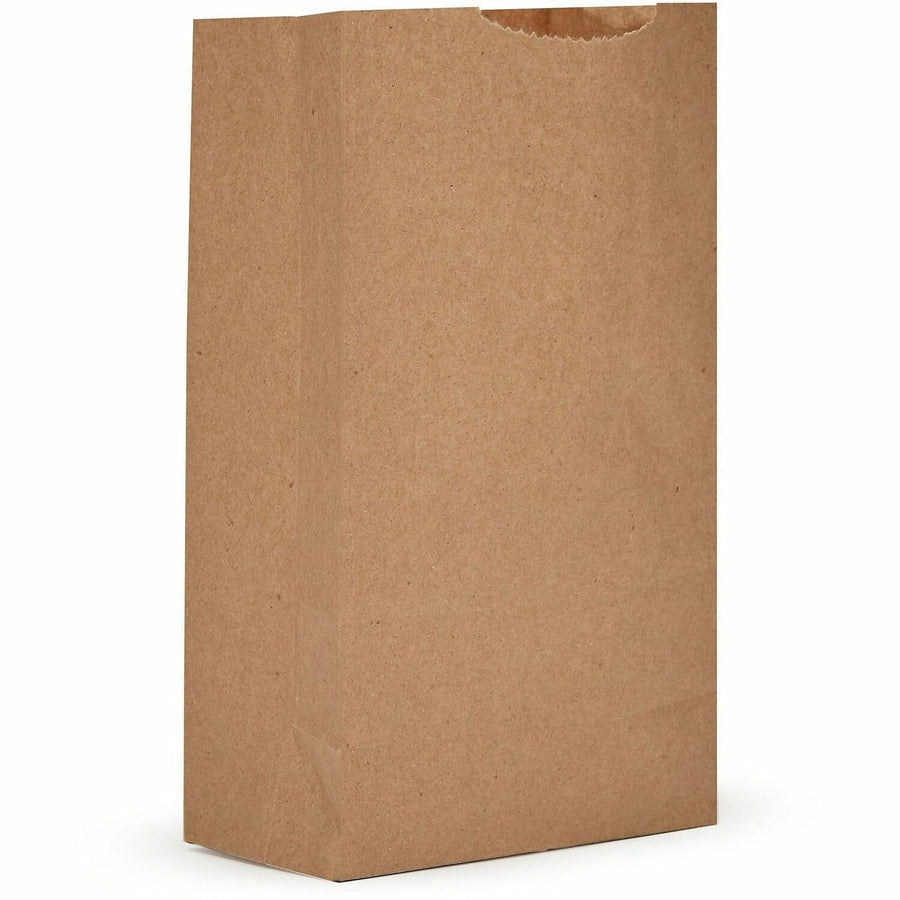 AJM Packaging #2 Extra Heavy-Duty Kraft Paper Grocery Bags, Natural Kraft, 500 / Carton — view 1