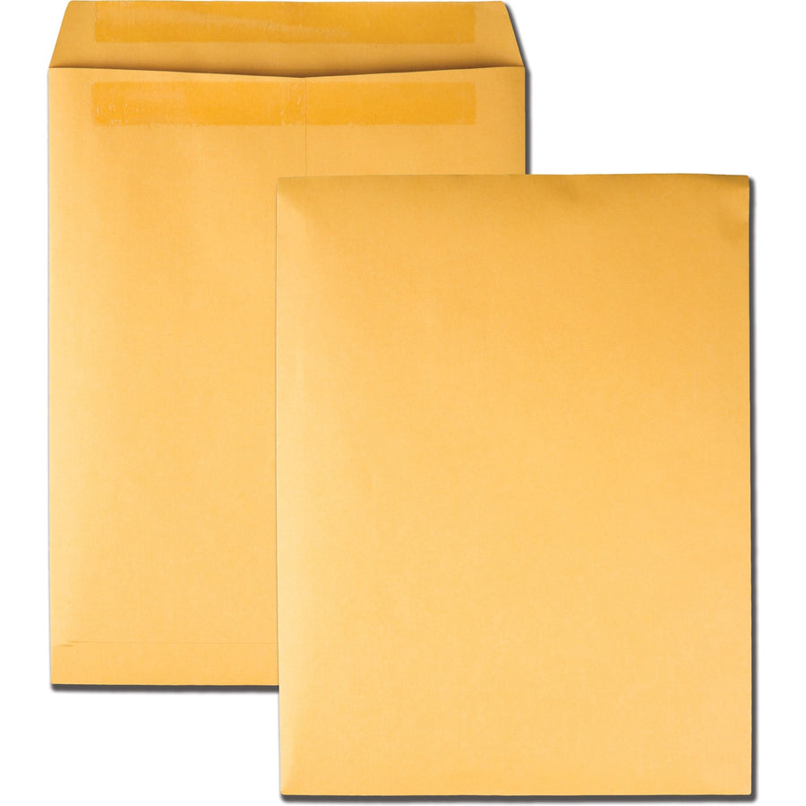 Quality Park 10 x 13 Catalog Envelopes with Self-Seal Closure, Redi-Seal, Kraft, 28 lb, Moisture Resistant, 100 / Box, QUA43767