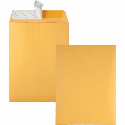 Quality Park 9 x 12 Catalog Envelopes with Redi-Strip Closure, Kraft, 100 / Box, QUA44562