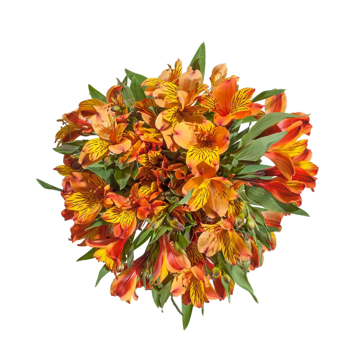 InBloom Alstroemeria Bouquet (120 Stems, Orange) | Vibrant Long-Lasting Floral Display InBloom Group
