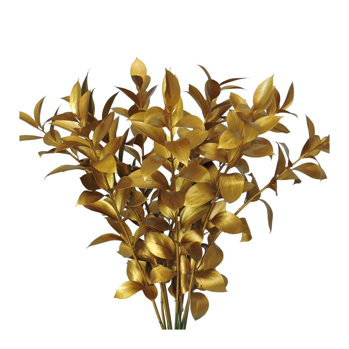 Hand-painted gold ruscus stems bundle