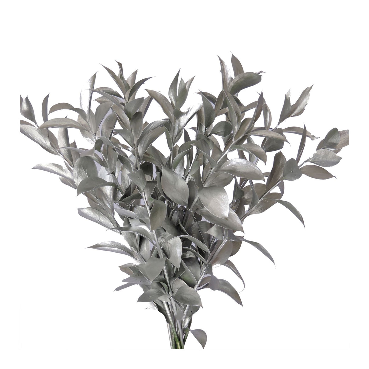 Hand-painted silver ruscus stems