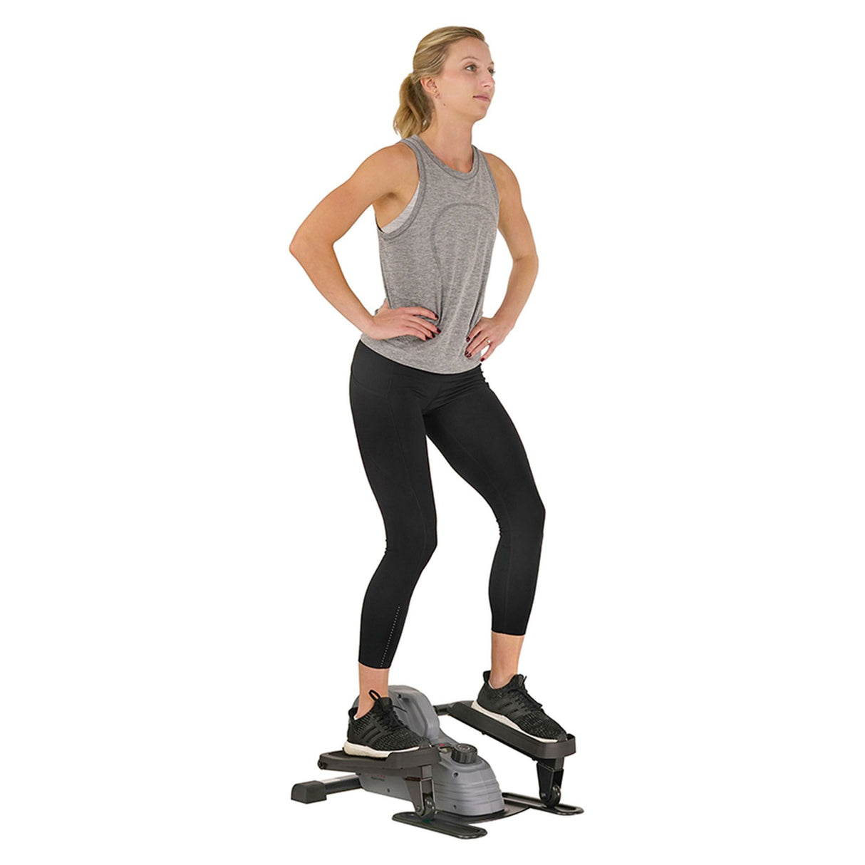 Sunny Health & Fitness stand-up elliptical
