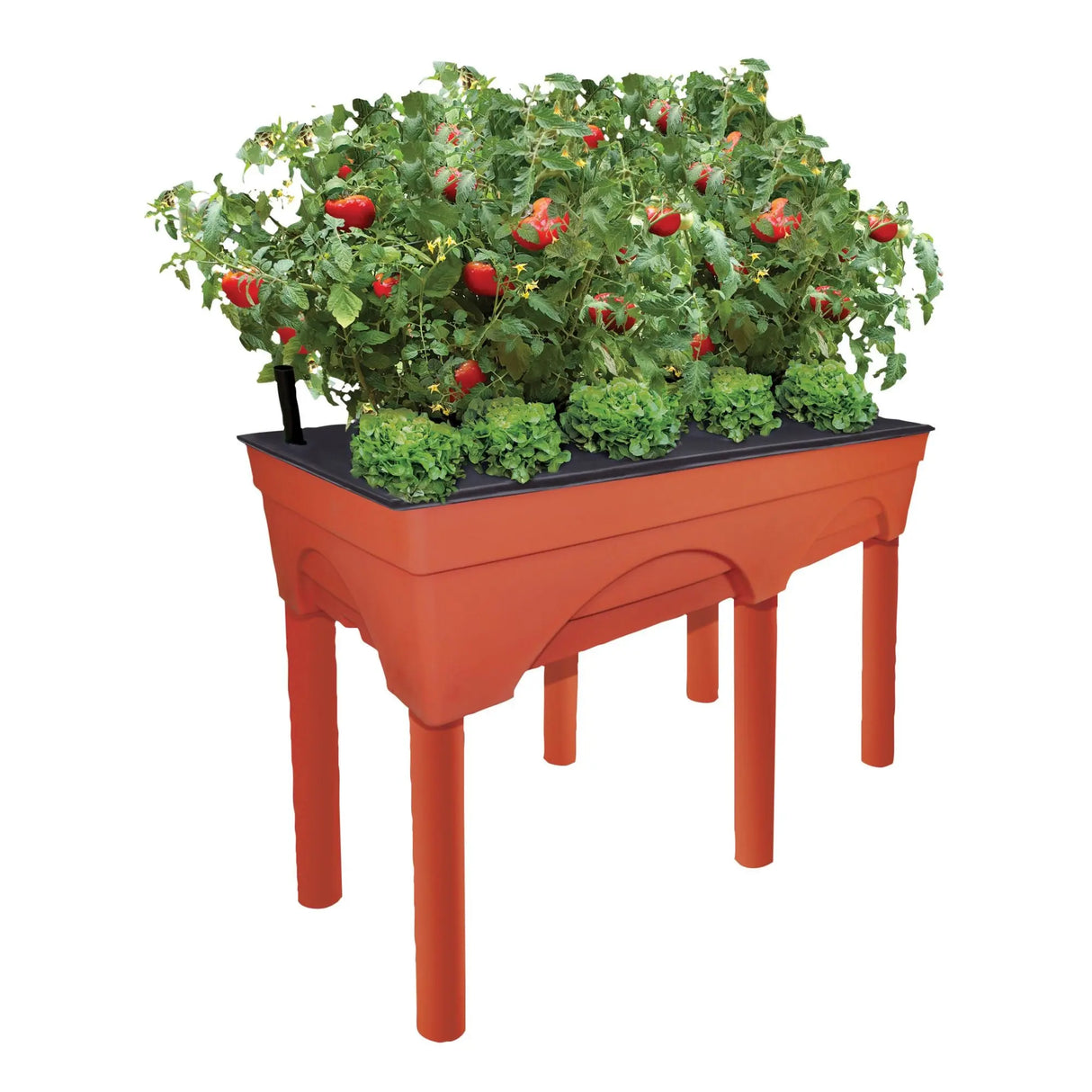 EMSCO Big Easy Picker Grow Box | Self-Watering Raised Garden Bed EMSCO Group
