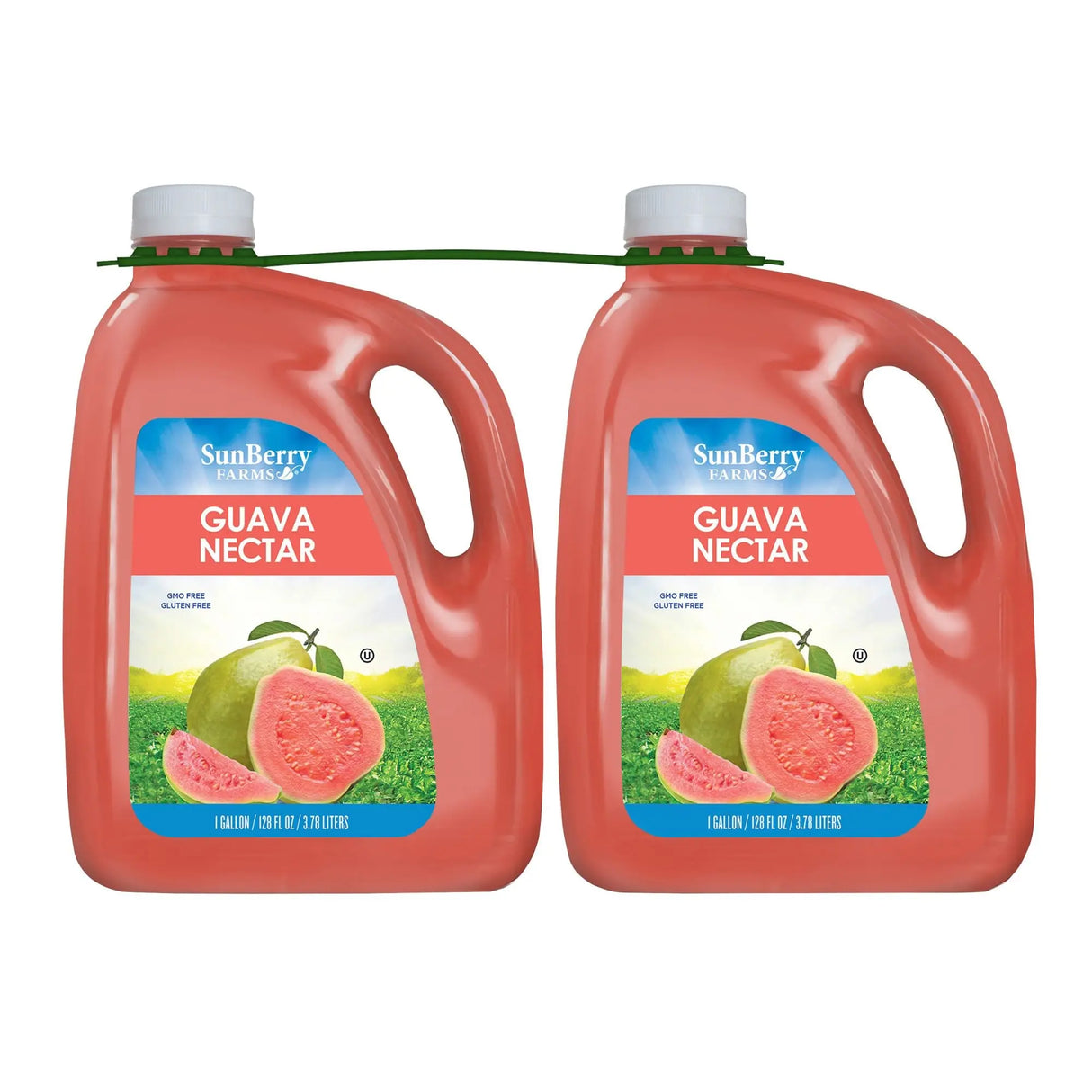 Sunberry Farms Guava Nectar (2-Pack, 1 gal Each) | Smooth Tropical Drink Sunberry Farms