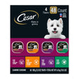 Cesar Filets in Gravy Variety Pack (48-Pack) | Gourmet Wet Dog Meals Cesar