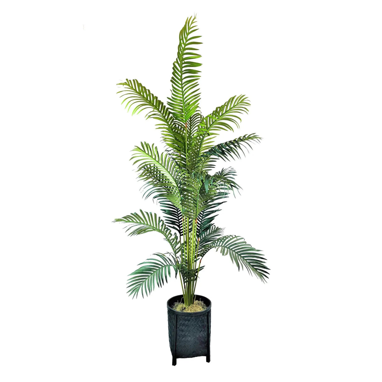 LCG Florals Palm in Woven Basket (6 ft) | Lush Indoor Tropical Décor LCG Florals