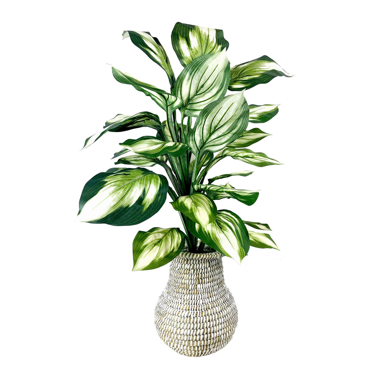 LCG Florals 32-inch faux hosta in woven white basket urn