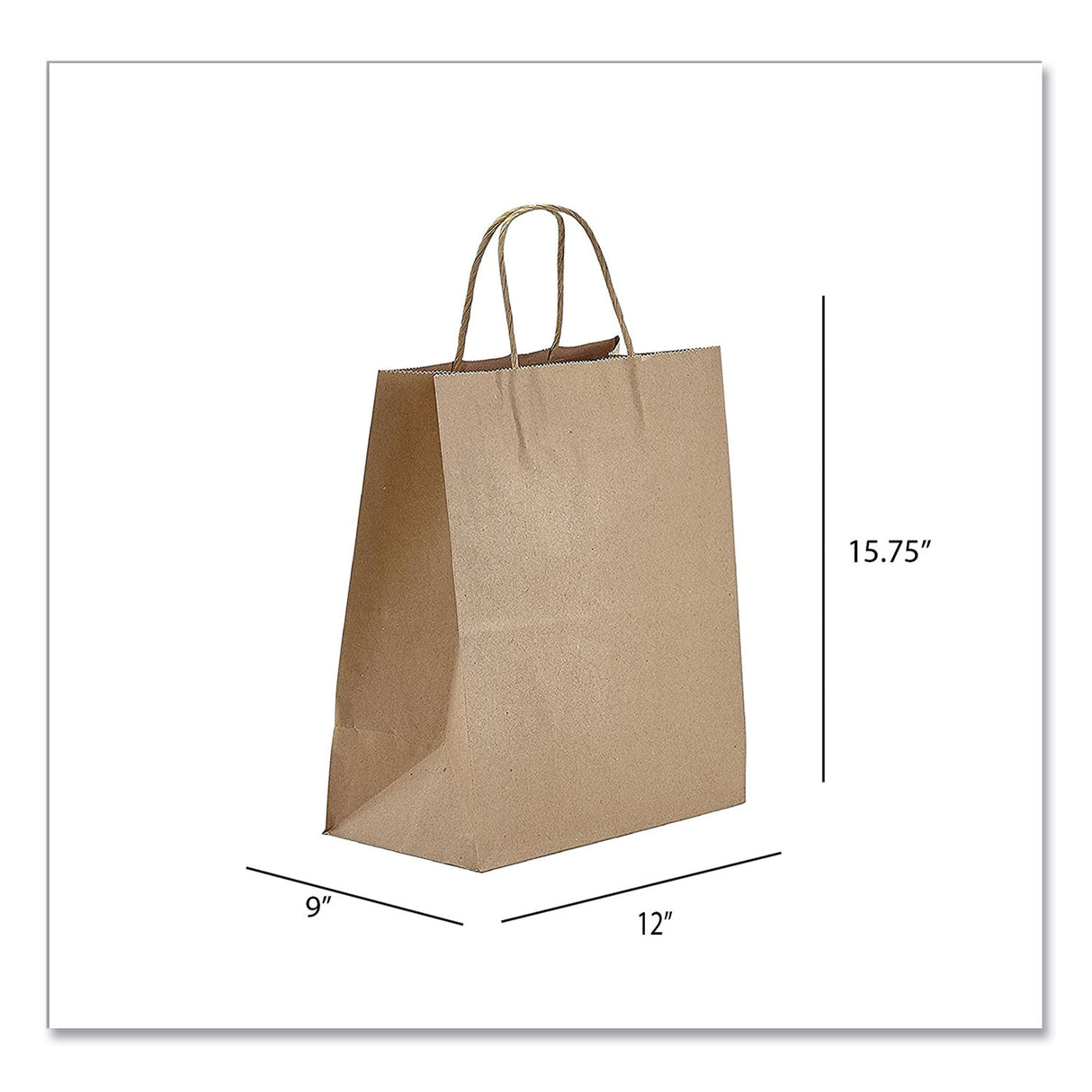 Prime Time Packaging Kraft Paper Bags, Natural Twisted-Paper Handles, Regal Size, 12" x 9" x 15.75", Natural, 200/Carton (NK12916)
