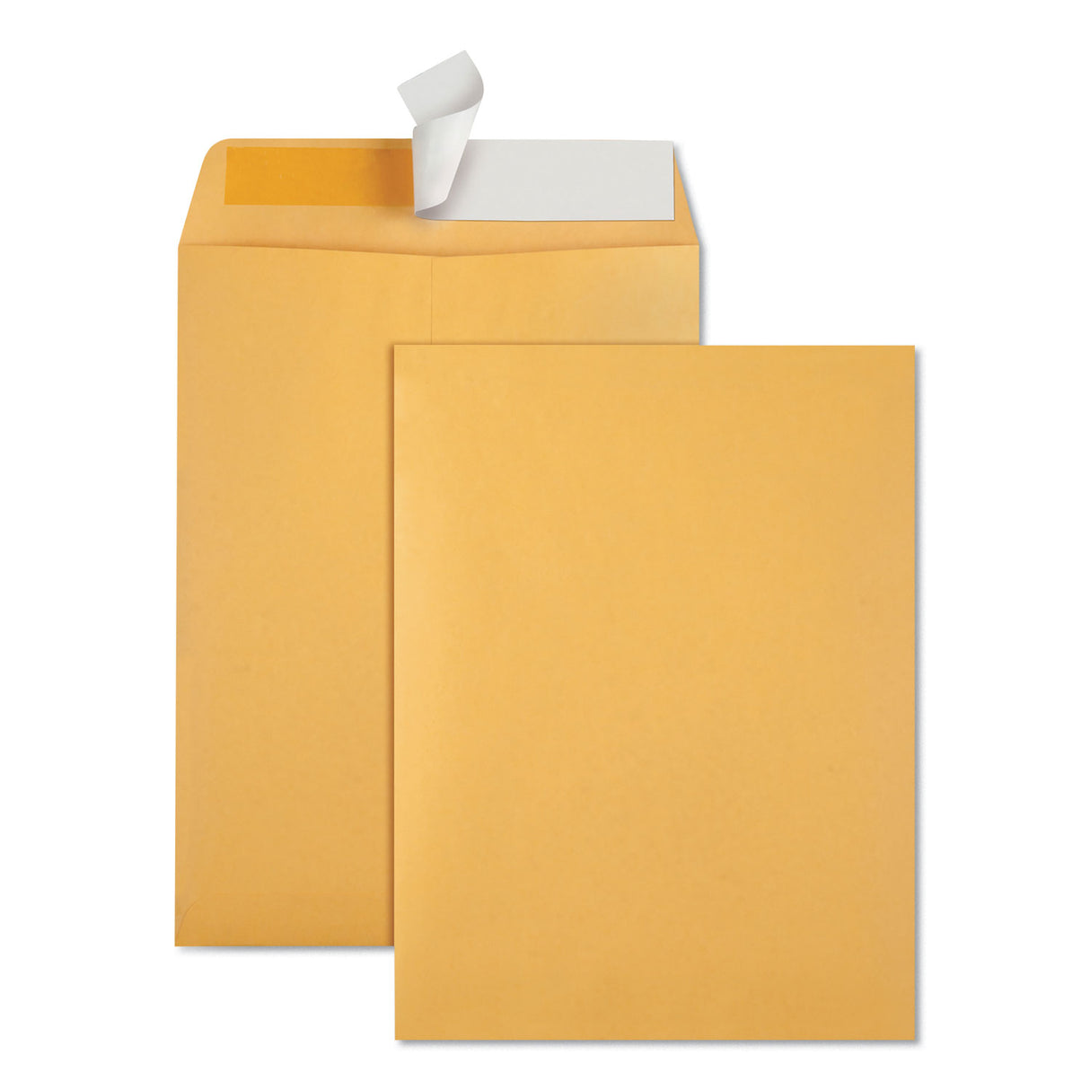 Quality Park Redi-Strip Catalog Envelope, #10 1/2, Cheese Blade Flap, Redi-Strip Adhesive Closure, 9 x 12, Brown Kraft, 100/Box (44562)