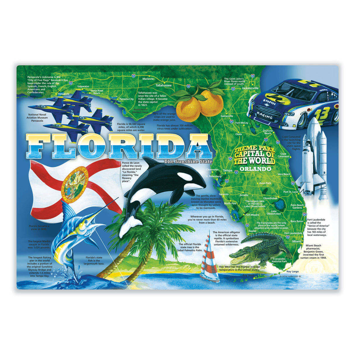 Hoffmaster Placemats, Florida Design, 10 x 14, 1,000/Carton (311110)