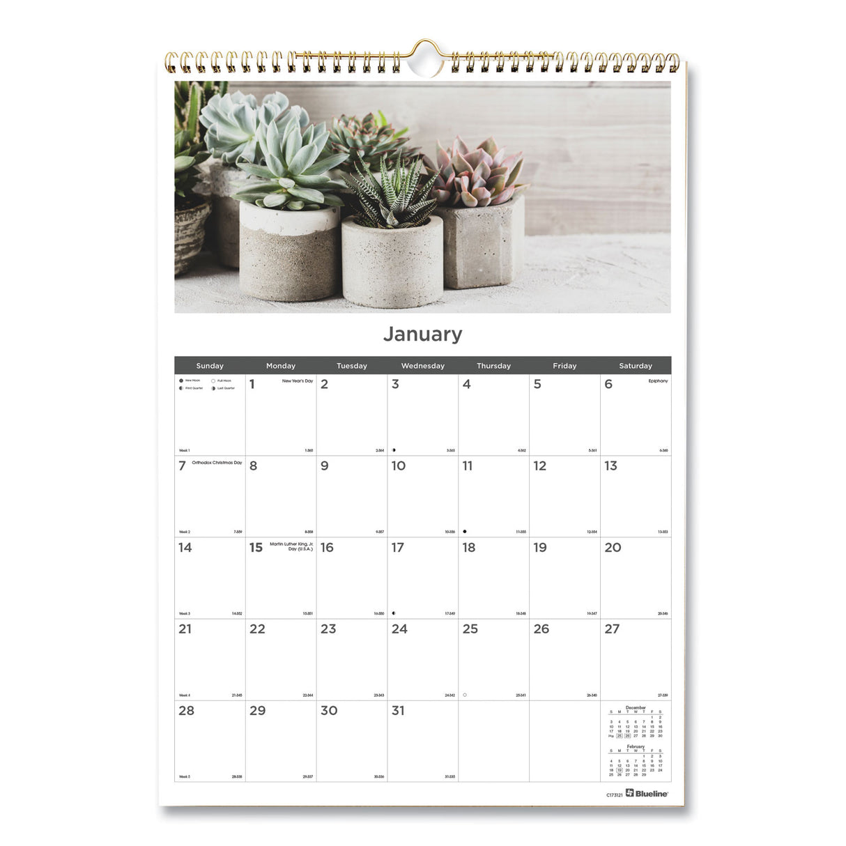 Blueline 12-Month Wall Calendar, Succulent Plants Photography, 12 x 17, White/Multicolor Sheets, 12-Month (Jan to Dec): 2025 (C173121)