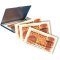 Avery Sure Feed Ivory Business Cards, 8 1/2" x 11", 250 / Pack, AVE8376