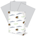 International Paper Company Hammermill Colors Recycled Copy Paper - Gray, 8 1/2" x 11", 500 / Pack, HAM102889