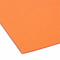 Smead 1/3 Tab Cut Letter Recycled Interior File Folder, Orange, 8 1/2" Width x 11" Length, 100 / Box, SMD10259