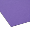 Smead 1/3 Tab Cut Letter Recycled Interior File Folder, Purple, 8 1/2" Width x 11" Length, 100 / Box, SMD10283