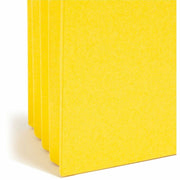 Smead Straight Tab Cut Letter Recycled File Pocket, 1 Pack