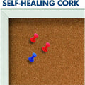 ACCO Quartet Enclosed Bulletin Board for Indoor Use, QRT2366