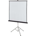 ACCO Quartet Manual Projection Screen, White, QRT560S