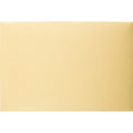 Quality Park K739 Index Flat File - Ungummed Flaps, Cameo, 100 / Box, QUA89606
