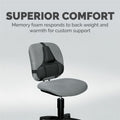 Fellowes Professional Series Microban Protection Back Support, Black, FEL8037601