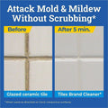 The Clorox CloroxPro™ Tilex Disinfecting Instant Mold and Mildew Remover Spray, White, 9 / Carton, CLO35600CT