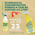 Sunshine Makers Simple Green Industrial Cleaner/Degreaser, Lemon, SMP14002