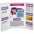 Dixon Ticonderoga Pacon Presentation Boards, 1 Carton, PAC3763