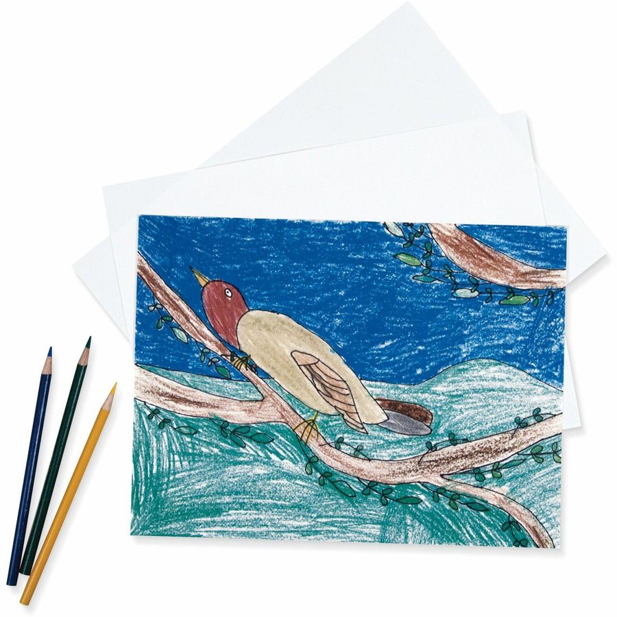 Pacon® Heavyweight Drawing Paper, 9" x 12", 500, Acid-free, 500 / Ream, PAC4809