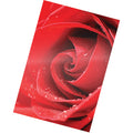 Fellowes Photo Card Glossy Thermal Laminating Pouches, Clear, 1 Pack, FEL52010