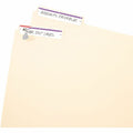Avery File Folder Labels, White/Purple, 2/3" x 3-7/16", 252 (5204), AVE05204