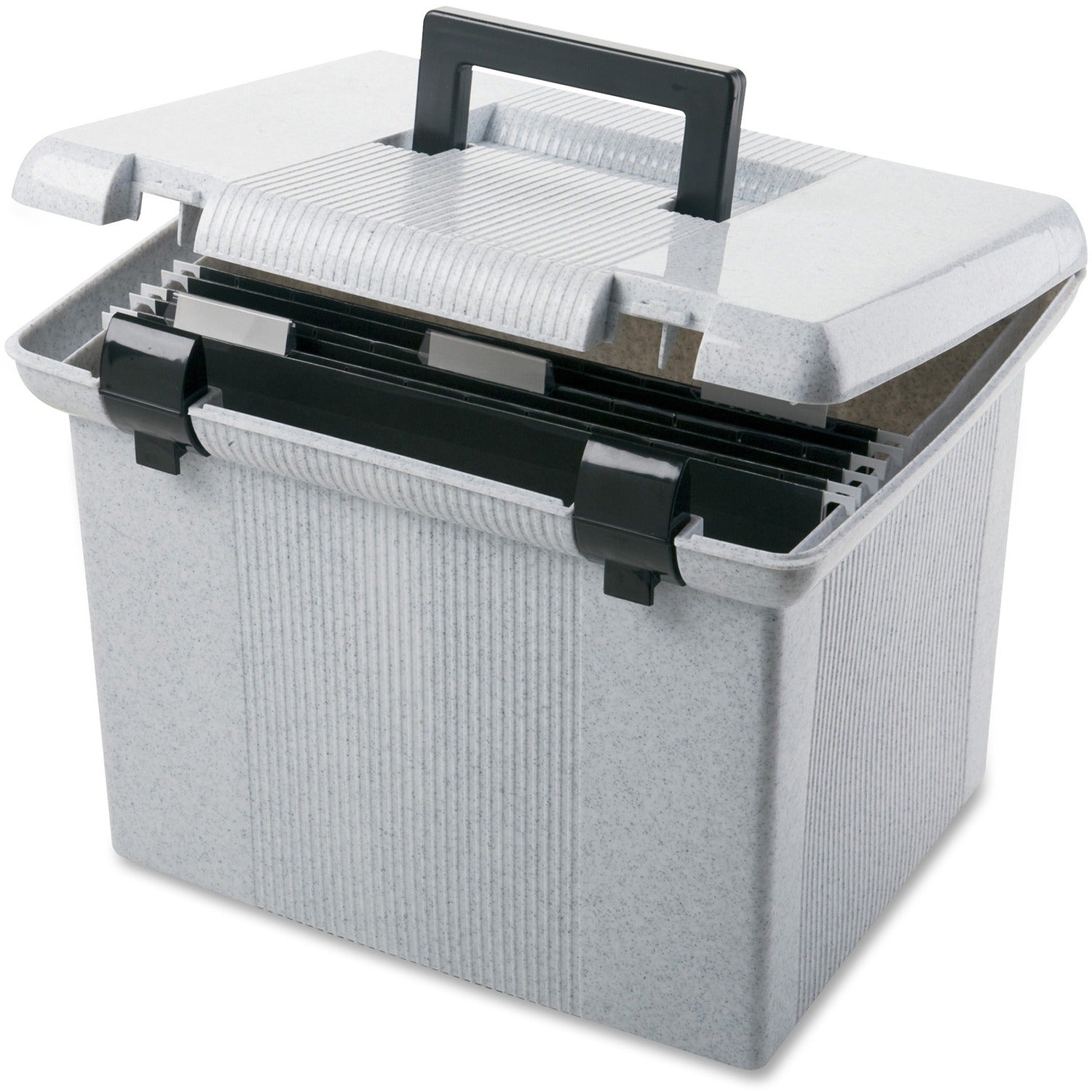 Pendaflex Portafile File Storage Box, 1 Each
