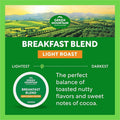 Keurig Dr Pepper . Green Mountain Coffee Roasters K-Cup Breakfast Blend Coffee, 24 / Box, GMT6520