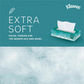 Kimberly-Clark Kleenex Professional Facial Tissue for Business, White, 1 Carton, KCC21400