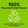 Seventh Generation 100% Recycled Facial Tissues, White, 1 Box, SEV13719