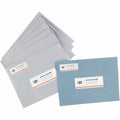 Avery Address Labels, Matte, 1 Box, AVE55160