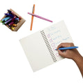 Newell Paper Mate Flair Point Guard Felt Tip Marker Pens, 1 Dozen, PAP8450152