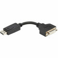 Eaton Tripp Lite series DisplayPort to DVI Cable Adapter, Black, TRPP134000