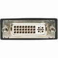 Eaton Tripp Lite series DisplayPort to DVI Cable Adapter, Black, TRPP134000