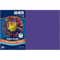 Dixon Ticonderoga Tru-Ray Heavyweight Construction Paper, Purple, 1 Pack, PAC103051
