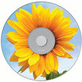 Maxell PW700 CD Recordable Media - CD-R - 48x - 700 MB - 100 / Pack - Matte White, MAX648720