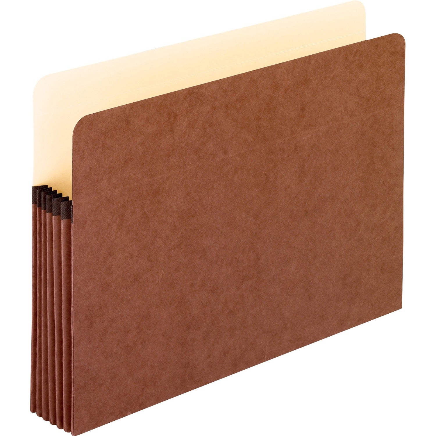 Pendaflex Letter Recycled File Pocket, 1 Carton