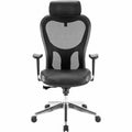 Lorell Elevate Mesh High-Back Executive Office Chair, LLR85035