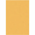 Business Source Heavy-duty Metal Clasp Envelopes, Kraft, 100 / Box, BSN36660