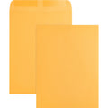 Business Source Kraft Gummed Catalog Envelopes, 250 / Box, BSN42100