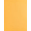 Business Source Kraft Gummed Catalog Envelopes, 250 / Box, BSN42100