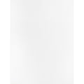 Business Source 28 lb. White Catalog Envelopes, 250 / Box, BSN42102